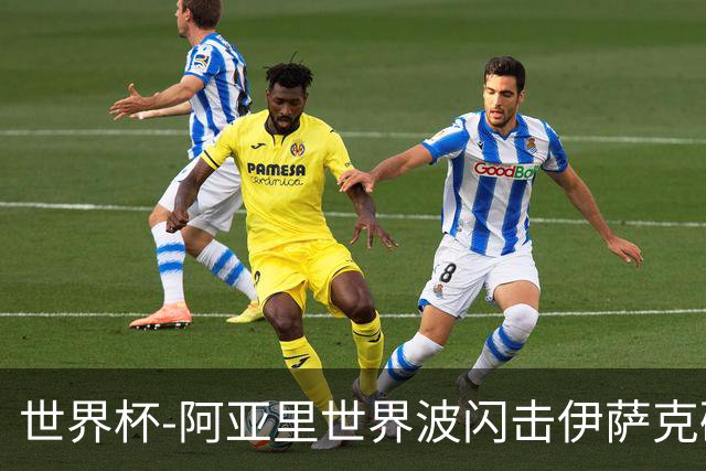 世界杯-阿亚里世界波闪击伊萨克破门 半场瑞典2-1突尼斯